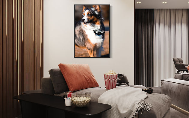 Professiona dog picture for sale