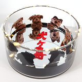 Canon Isle of dogs 1_edited.jpg