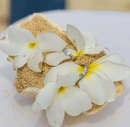 WhatsApp Image 2021-10-10 at 13.54.03 (1).jpeg