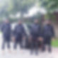 pincer guards_edited.jpg