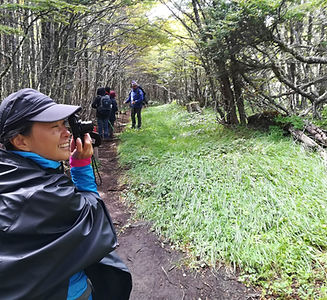 Punta Arenas Forest Hike-min.jpg