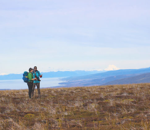 Explore Punta Arenas Wilderness