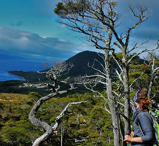 Incredible Landscape Mount Tarn Hike.jpg