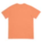 Thumbnail: Shunned at a Funeral garment-dyed heavyweight t-shirt