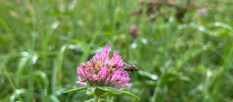 Begegnungen als Spiegel nutzen