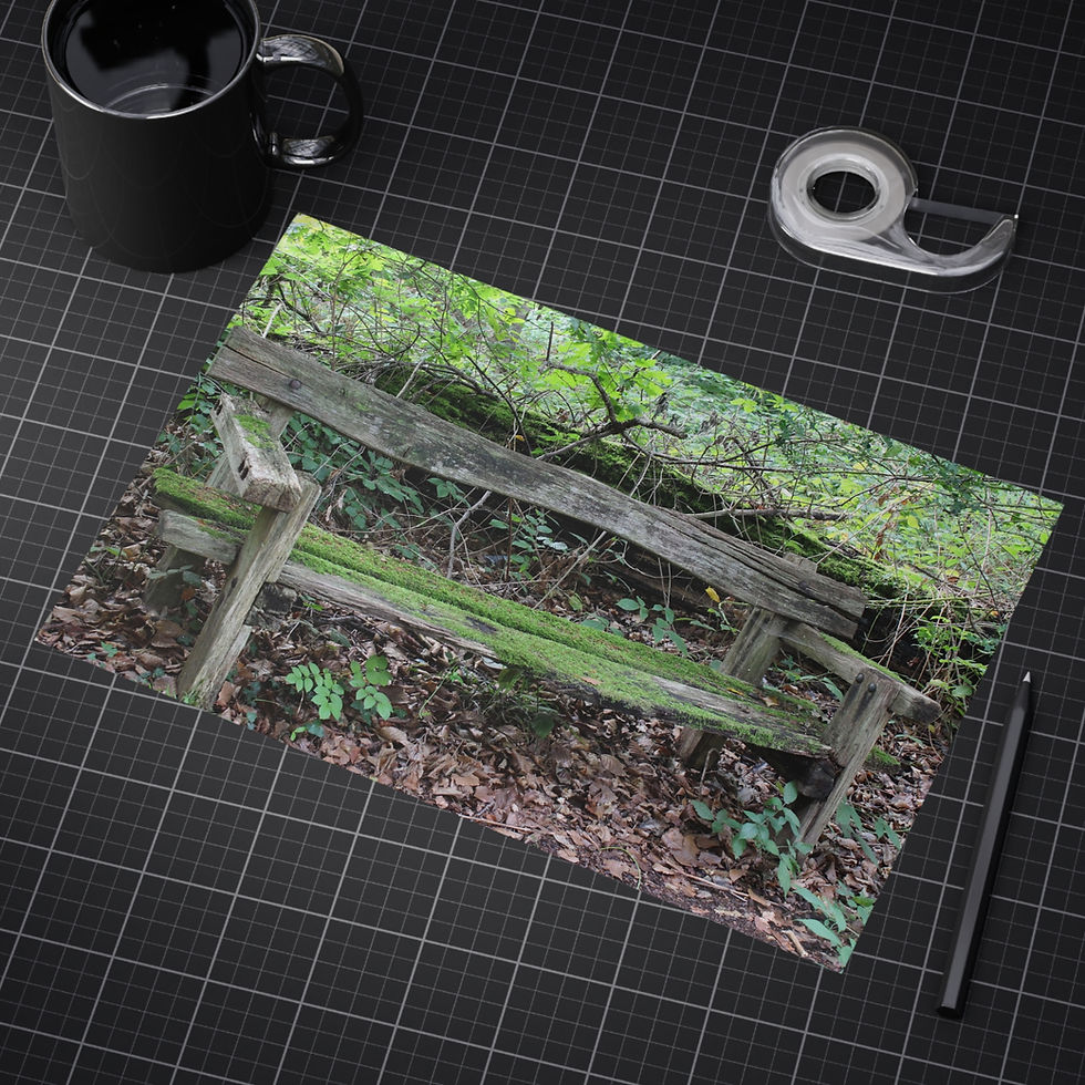 Thumbnail: Rustic Bench Unframed Prints
