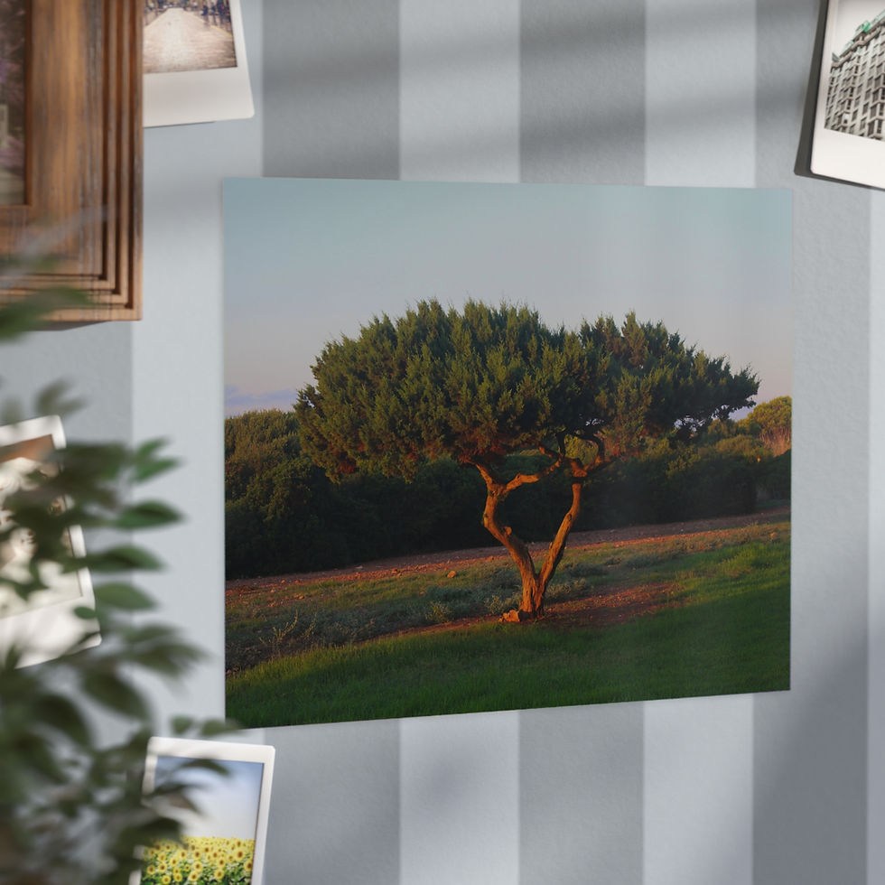 Thumbnail: Serene Landscape Unframed Prints