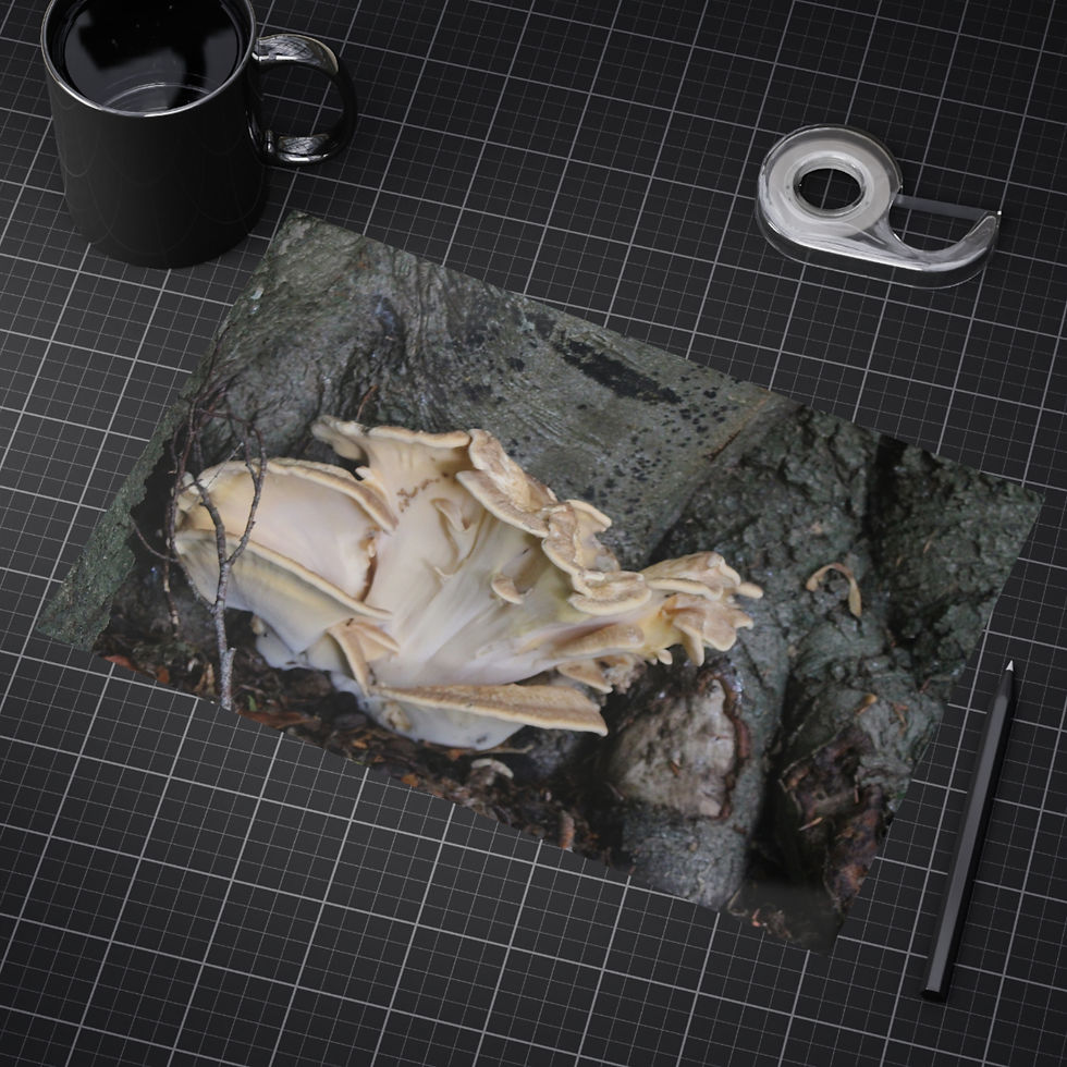 Thumbnail: Mushroom Tree Root Unframed Prints