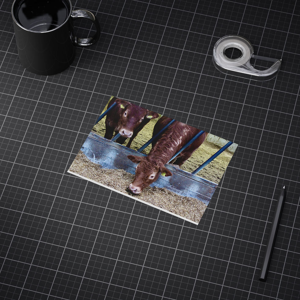 Thumbnail: Rustic Cows Unframed Print