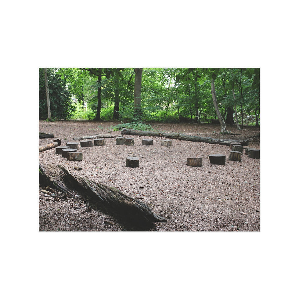 Thumbnail: Forest Clearing Unframed Prints