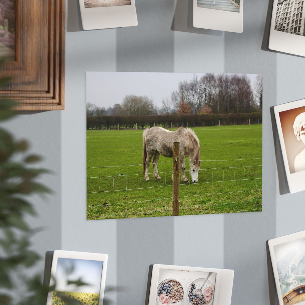 Thumbnail: Rustic Horse Unframed Prints