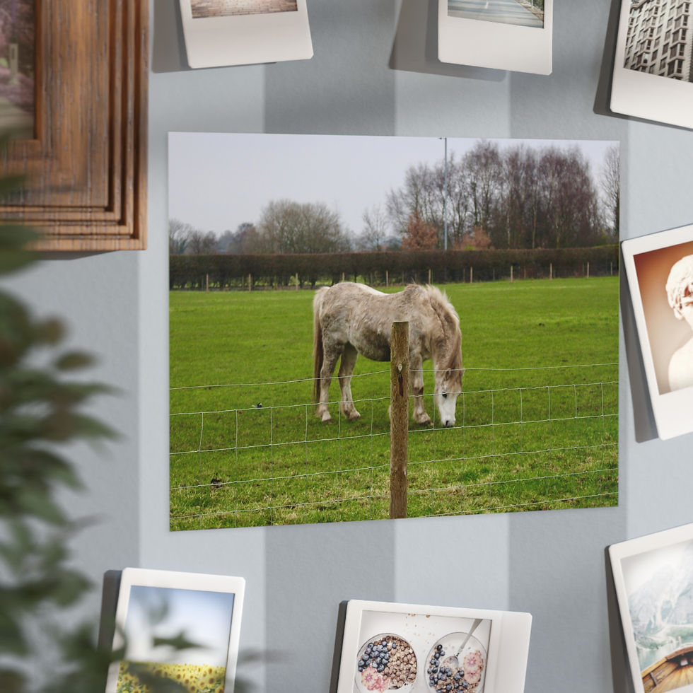 Thumbnail: Rustic Horse Unframed Prints