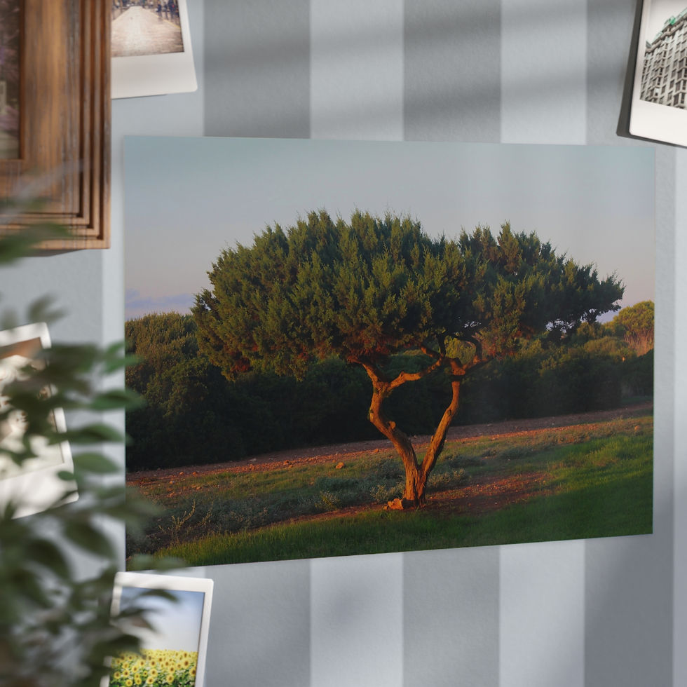 Thumbnail: Serene Landscape Unframed Prints