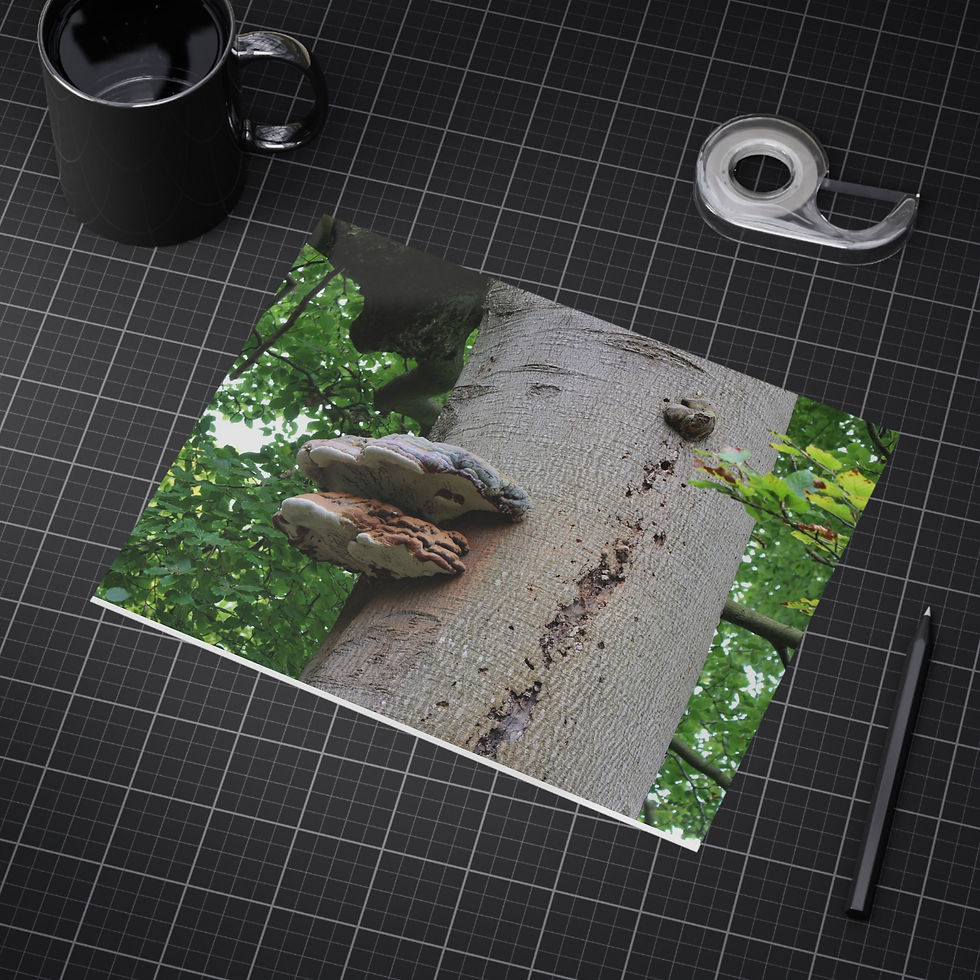 Thumbnail: Mushroom Tree Unframed Prints