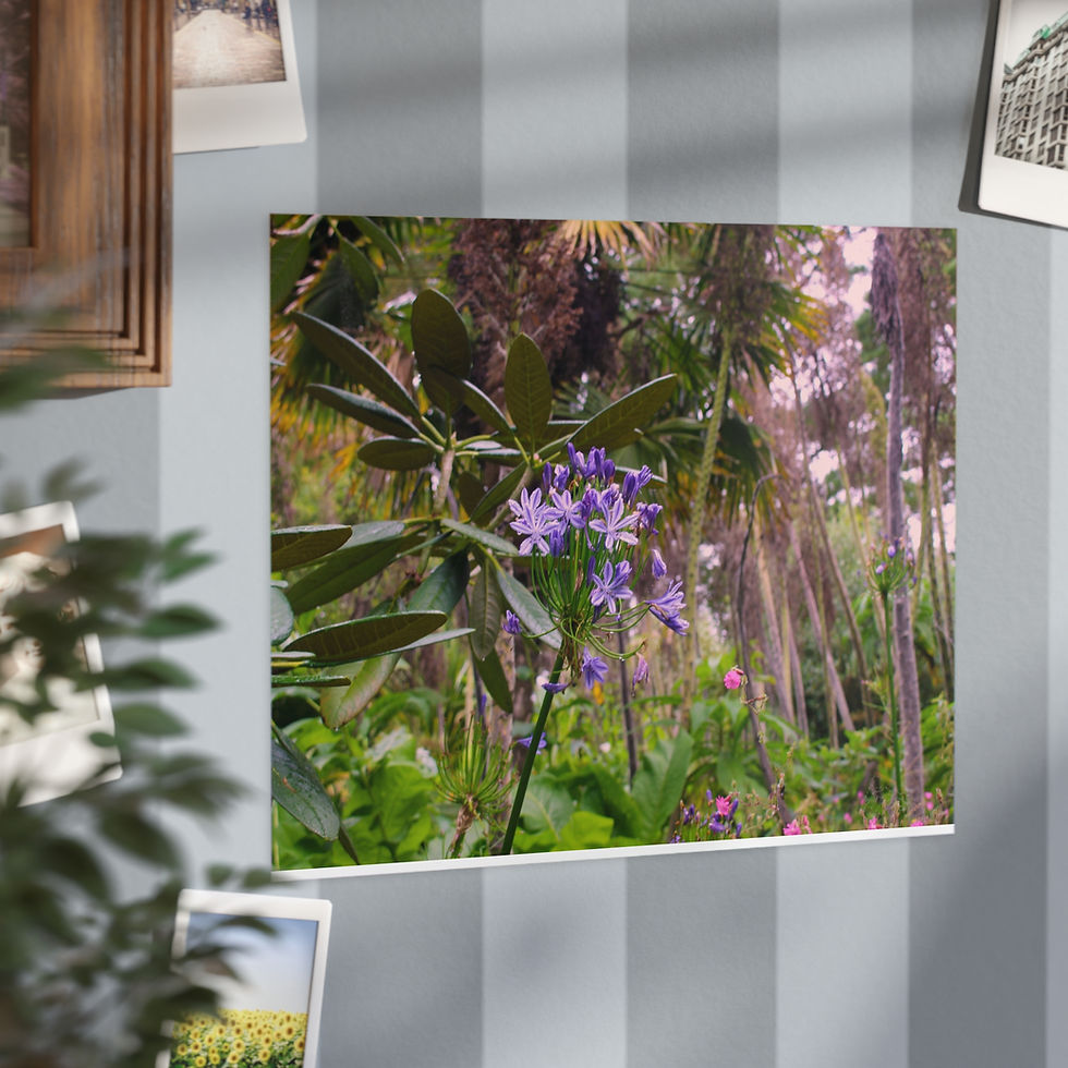 Thumbnail: Enchanted Floral Unframed Prints