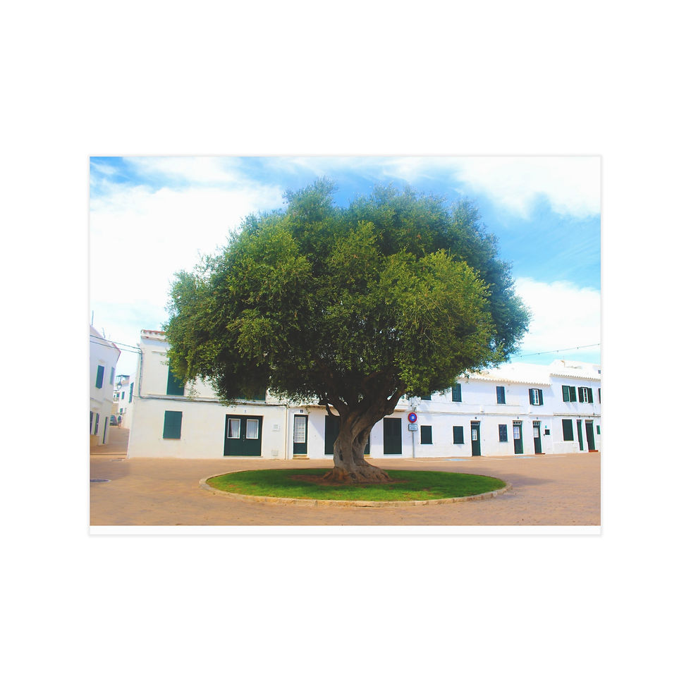 Thumbnail: Serene Tree Unframed Prints