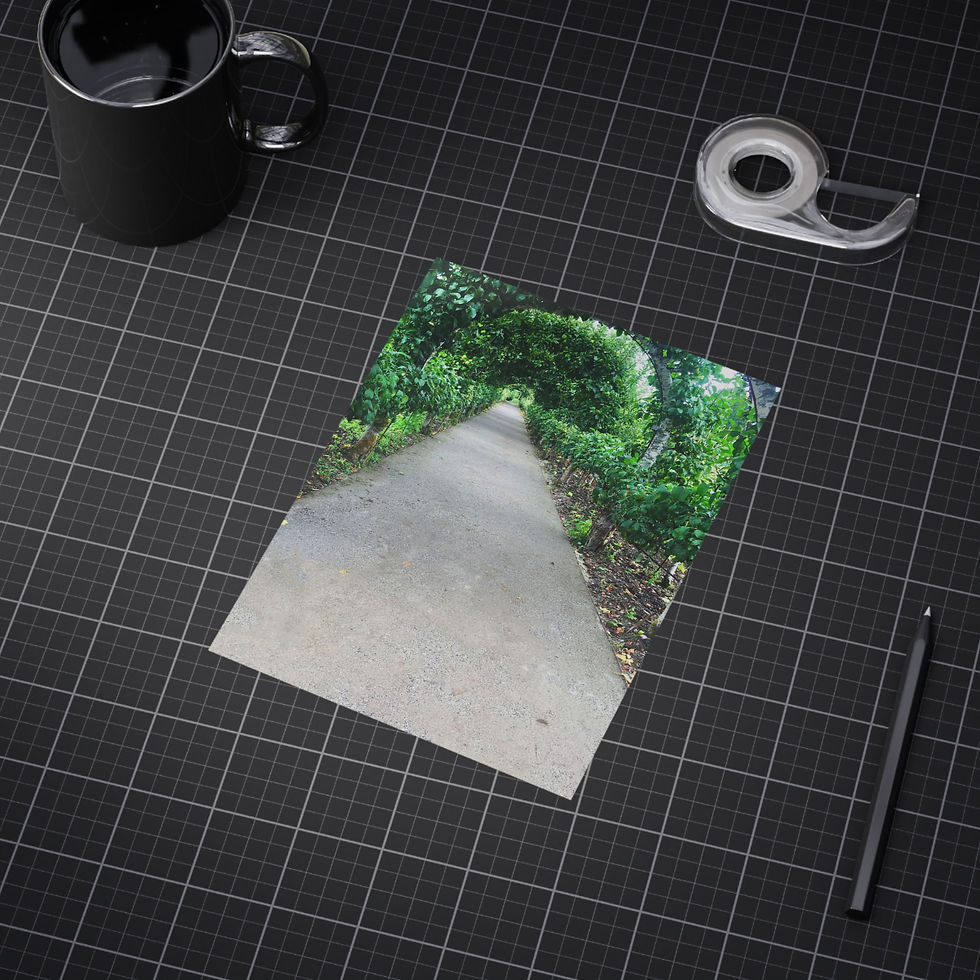 Thumbnail: Serene Nature Path Unframed Print