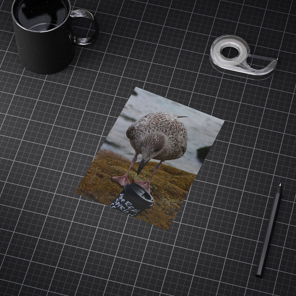 Thumbnail: Coastal Bird and Coffee Cup Unframed Prints