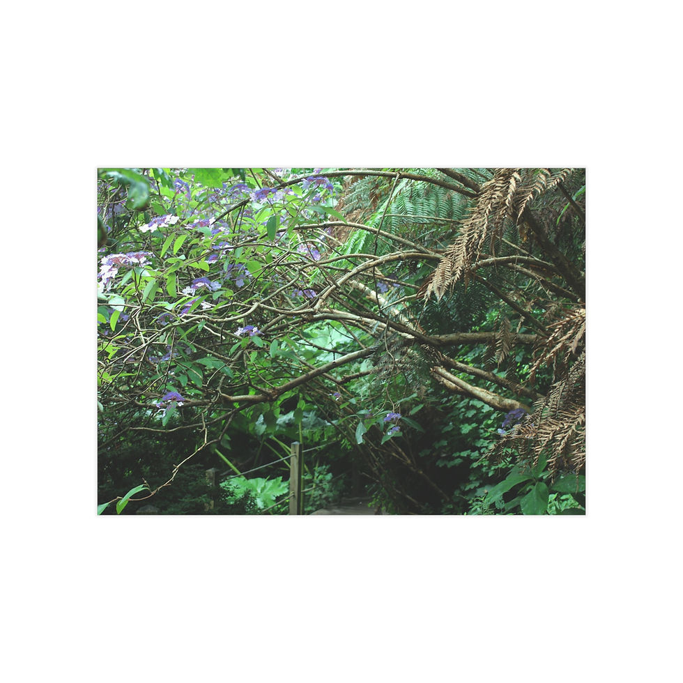 Thumbnail: Botanical Unframed Prints