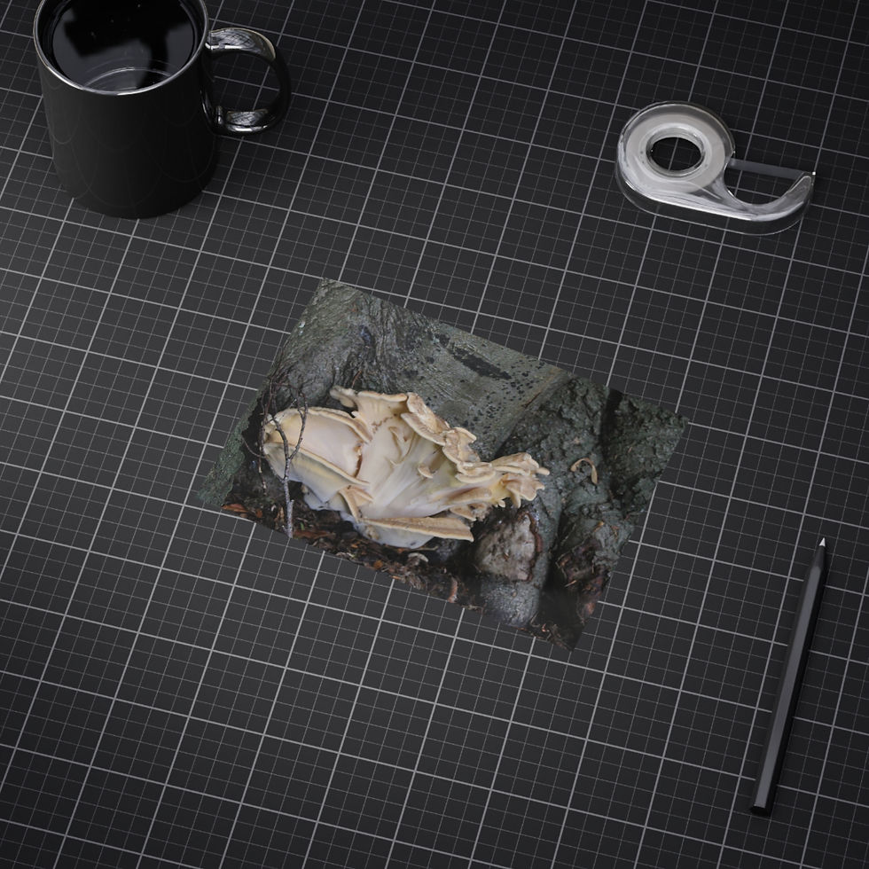 Thumbnail: Mushroom Tree Root Unframed Prints