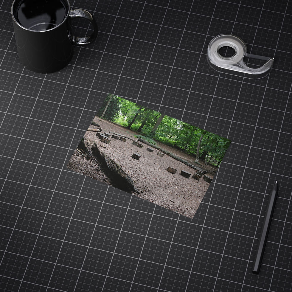 Thumbnail: Forest Clearing Unframed Prints