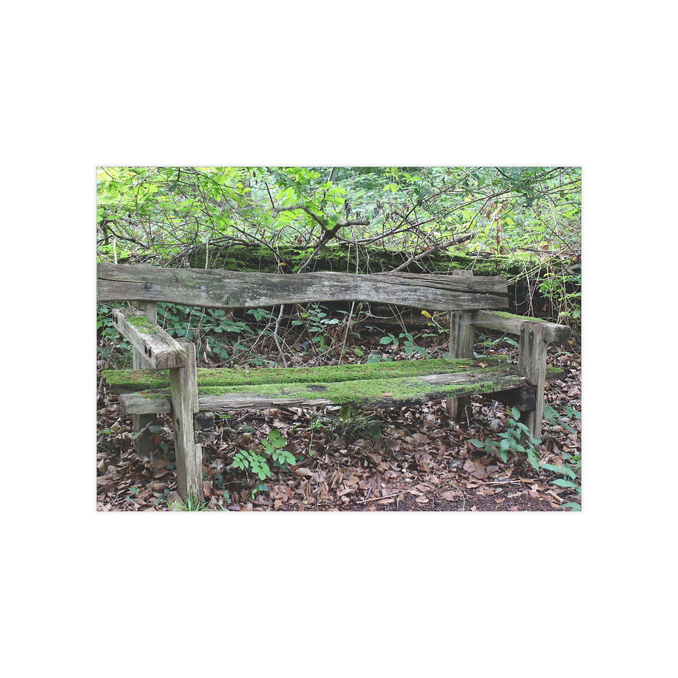 Thumbnail: Rustic Bench Unframed Prints