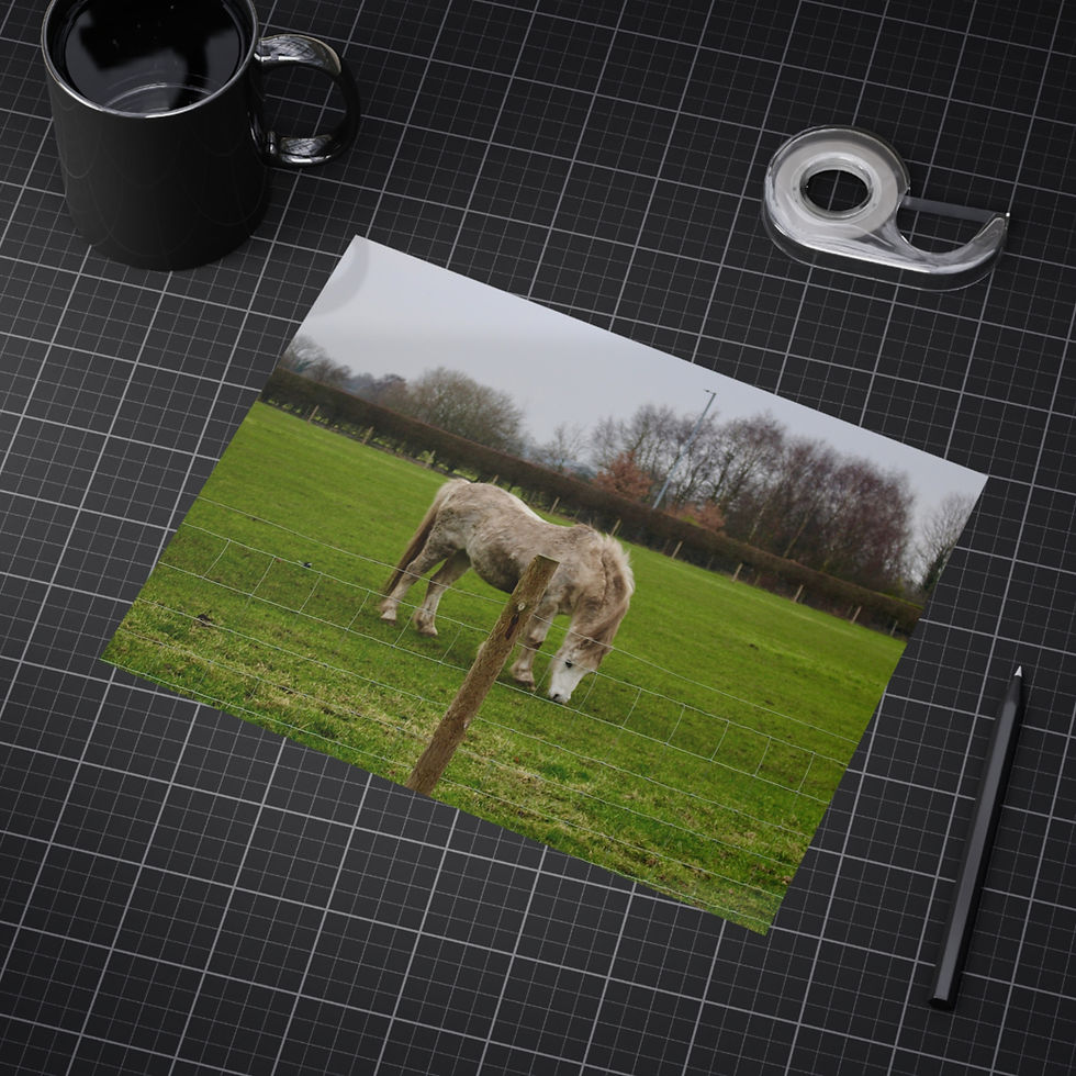 Thumbnail: Rustic Horse Unframed Prints