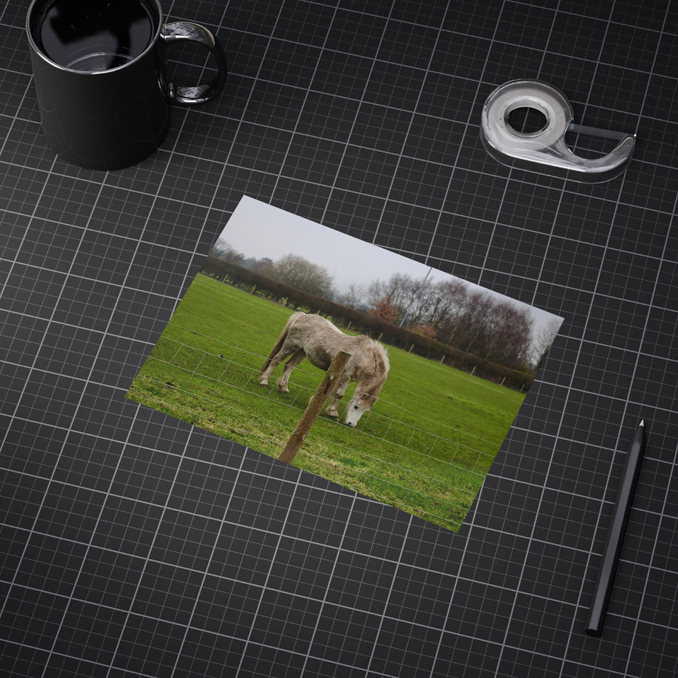 Thumbnail: Rustic Horse Unframed Prints