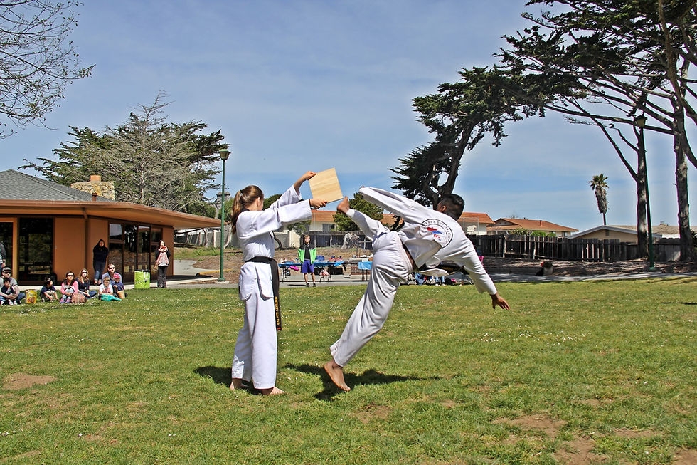 Monterey Bay Taekwondo Academy