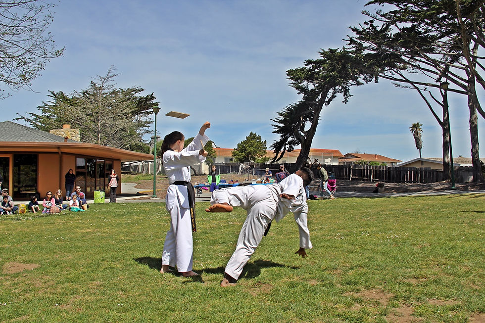 Monterey Bay Taekwondo Academy