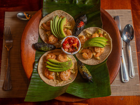 🍽️ The Best Culinary Experiences in Matapalo, Costa Rica