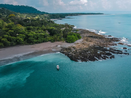Surf in Matapalo, Costa Rica: A Hidden Paradise for Wave Lovers 🌊