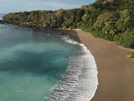 🌊 Surfing in Matapalo: Discover the Remote and Secret Beaches of the Osa Peninsula