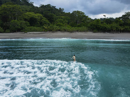 🌊 Surf en Matapalo: Descubre las Playas Remotas y Secretas de la Península de Osa