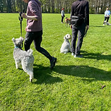 IMG_1694.jpeg