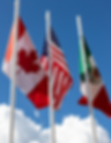 Flags.png