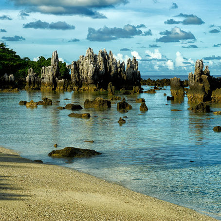 Objet et portée du présent Cadre