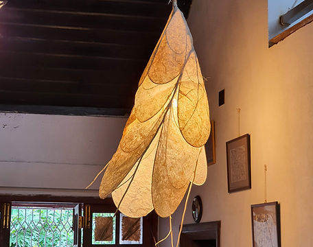 20210628_090243.jpg