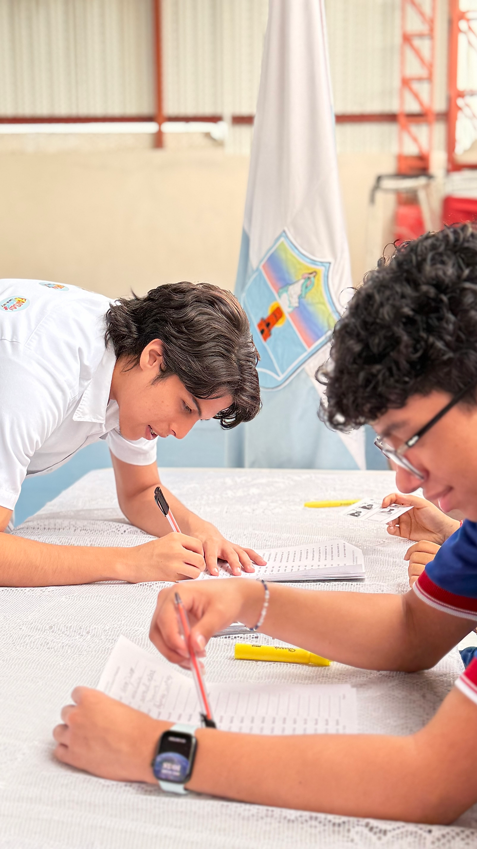 Elecciones gobierno escolar 2026
