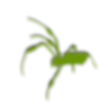 Z Branding Logo (3).png