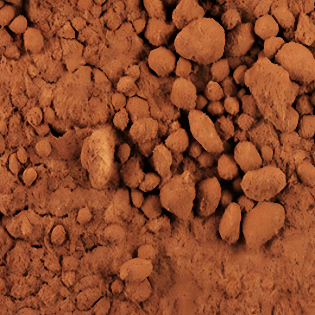 Pygeum Africanum Powder