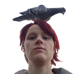 img101_edited.png