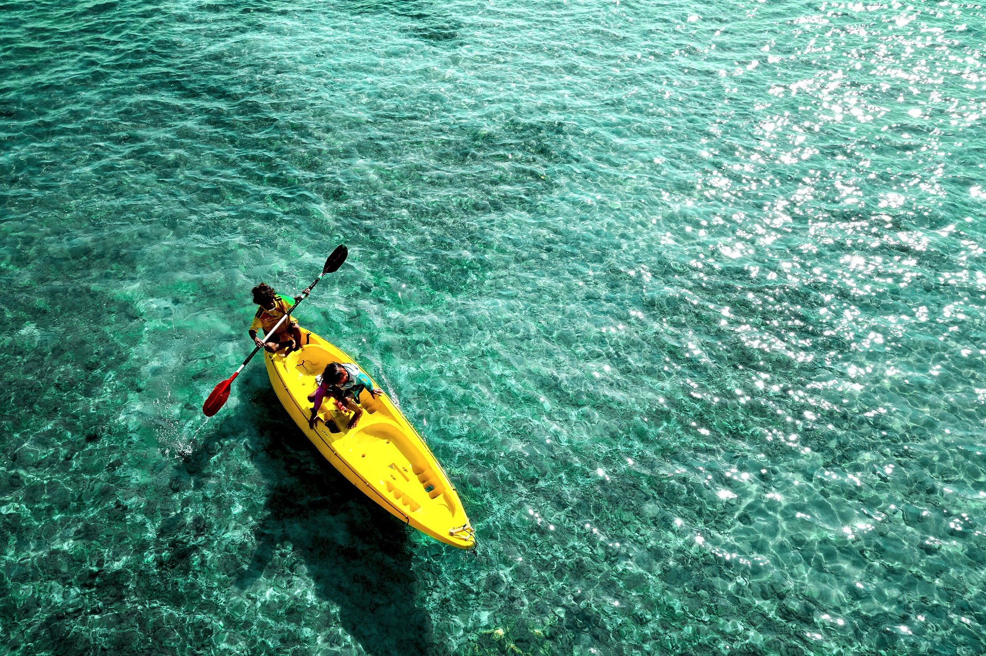 Excursion en kayak à Raja Ampa