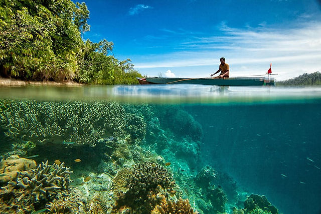 Pirogue Raja Ampat