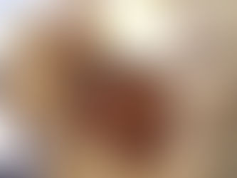 AYAM GEPUK PAK GEMBUS