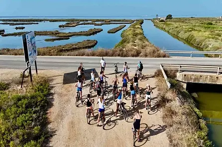 BICI3-768x520 (1).webp