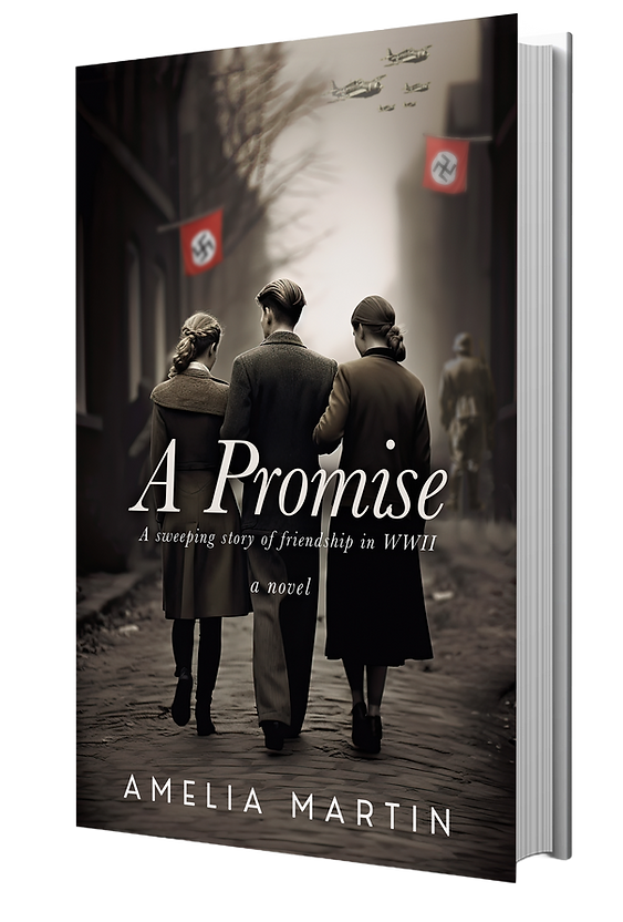 Amelia Martin's Debut Novel A Promise