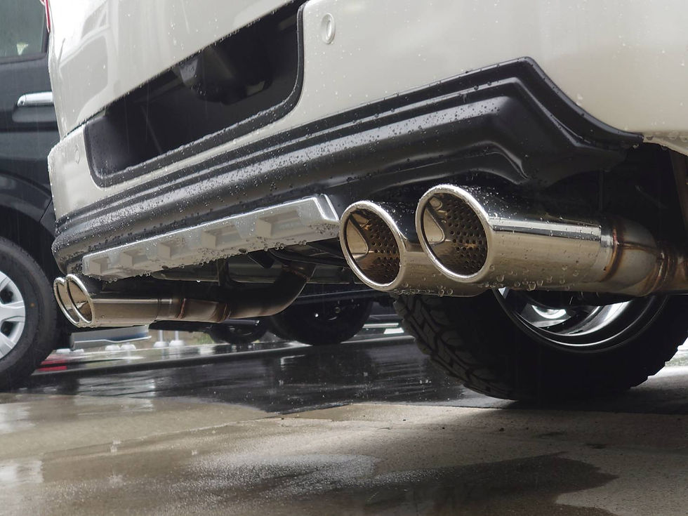 Thumbnail: Rear Bumper Guard "RUGGED X"