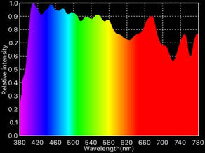 What to Consider About Color Spectrum When Lighting Animals?By Bill Little 