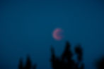 Lunar Eclipse Yoga with Live Handpan Music